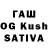 Каннабис OG Kush Shaaard