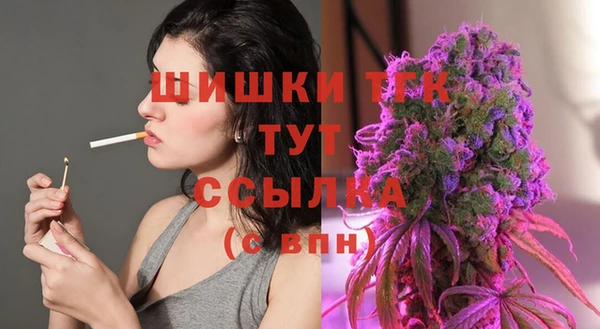 spice Абаза