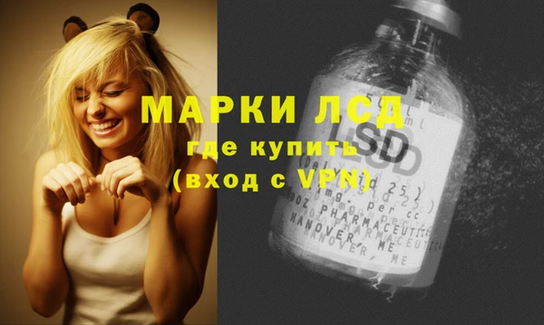 spice Абаза