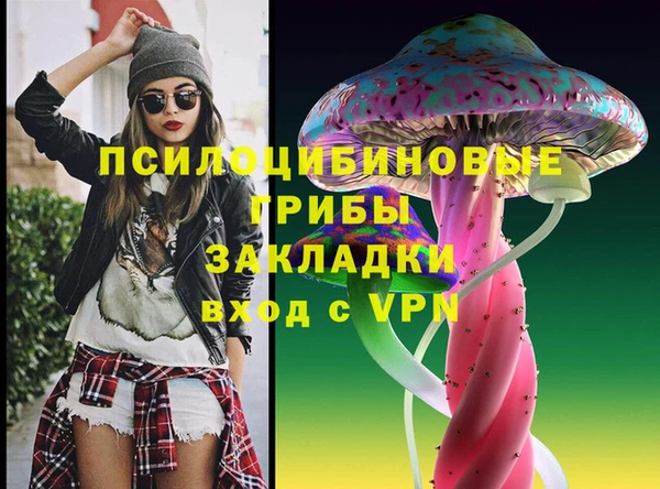 spice Абаза