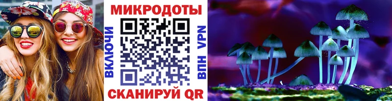 Псилоцибиновые грибы мухоморы  Питкяранта 